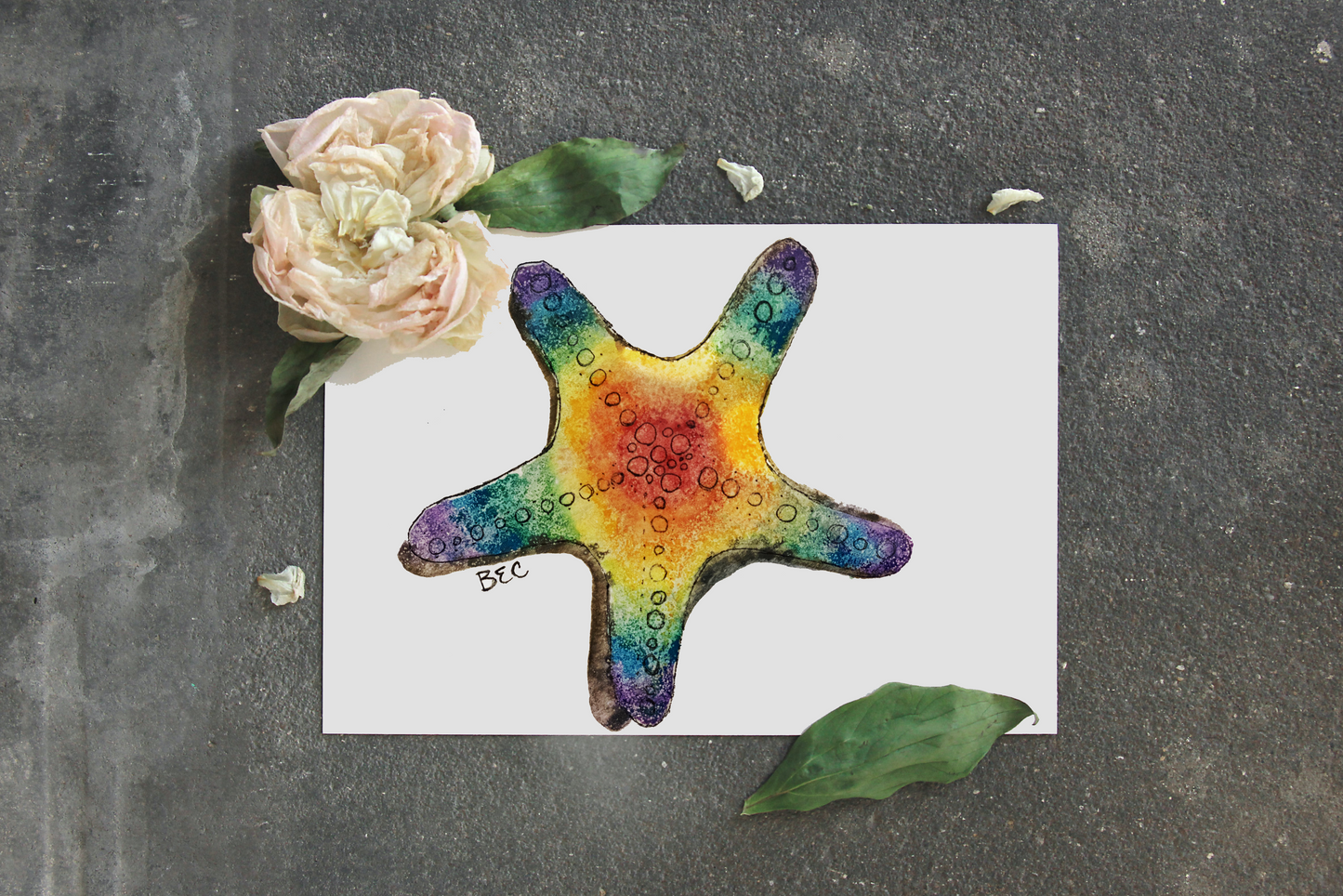 Rainbow Starfish Print